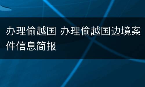 办理偷越国 办理偷越国边境案件信息简报