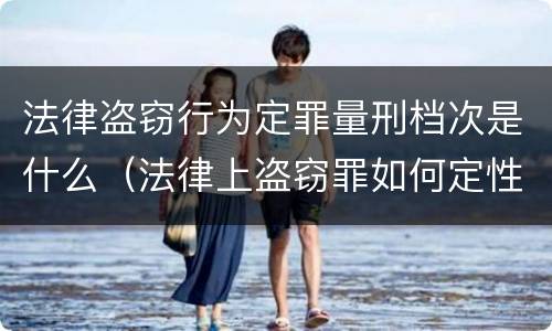 法律盗窃行为定罪量刑档次是什么（法律上盗窃罪如何定性）