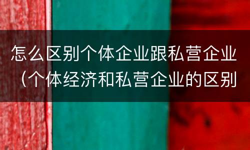 怎么区别个体企业跟私营企业（个体经济和私营企业的区别）