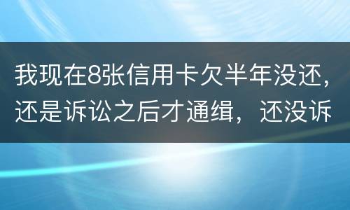 我现在8张信用卡欠半年没还，还是诉讼之后才通缉，还没诉讼