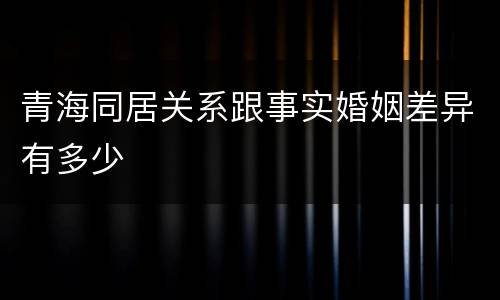 青海同居关系跟事实婚姻差异有多少