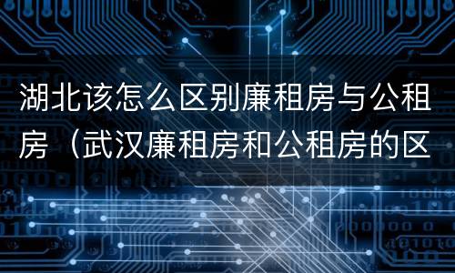 湖北该怎么区别廉租房与公租房（武汉廉租房和公租房的区别）
