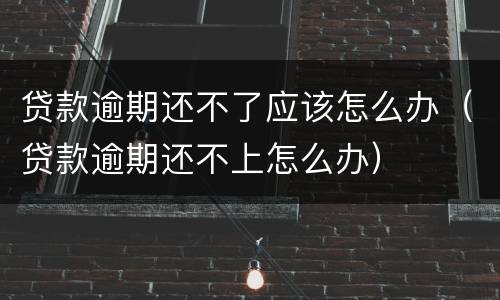 贷款逾期还不了应该怎么办（贷款逾期还不上怎么办）