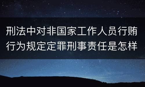 刑法中对非国家工作人员行贿行为规定定罪刑事责任是怎样