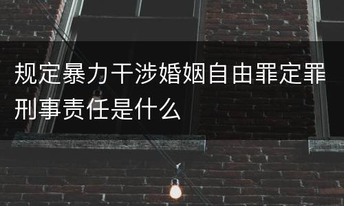 规定暴力干涉婚姻自由罪定罪刑事责任是什么
