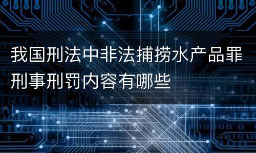 我国刑法中非法捕捞水产品罪刑事刑罚内容有哪些
