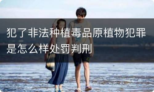 犯了非法种植毒品原植物犯罪是怎么样处罚判刑