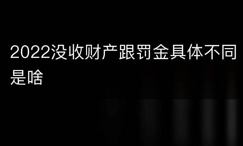 2022没收财产跟罚金具体不同是啥