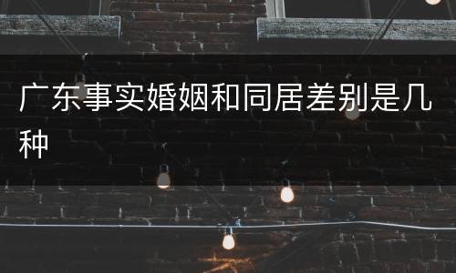 广东事实婚姻和同居差别是几种