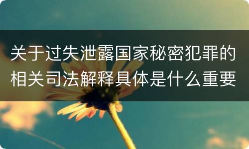 关于过失泄露国家秘密犯罪的相关司法解释具体是什么重要规定