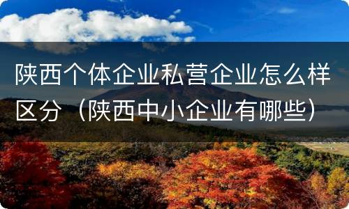 陕西个体企业私营企业怎么样区分（陕西中小企业有哪些）