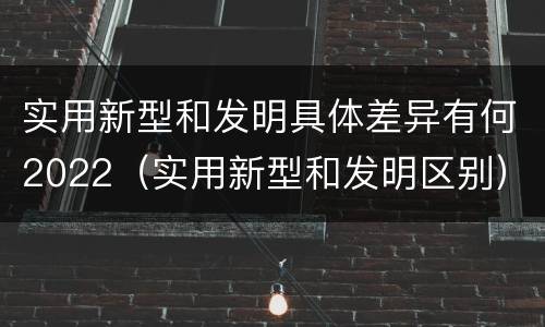 实用新型和发明具体差异有何2022（实用新型和发明区别）
