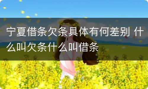 宁夏借条欠条具体有何差别 什么叫欠条什么叫借条