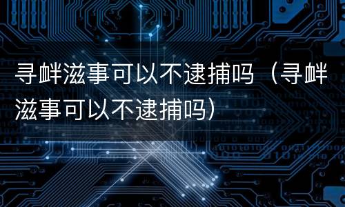 寻衅滋事可以不逮捕吗（寻衅滋事可以不逮捕吗）