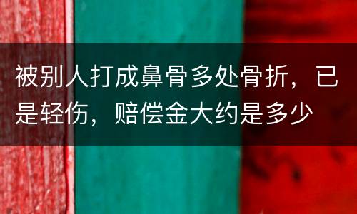 被别人打成鼻骨多处骨折，已是轻伤，赔偿金大约是多少