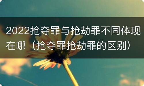 2022抢夺罪与抢劫罪不同体现在哪（抢夺罪抢劫罪的区别）