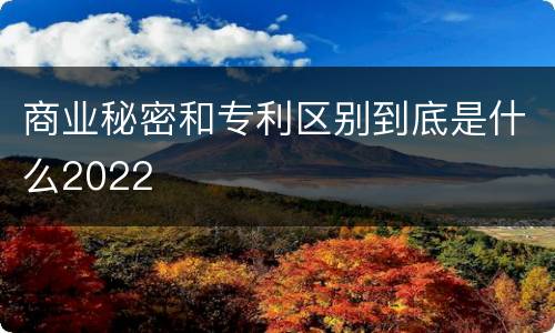 商业秘密和专利区别到底是什么2022
