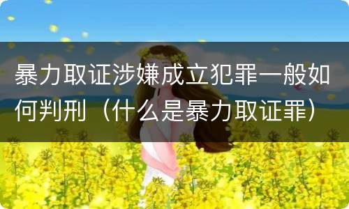 暴力取证涉嫌成立犯罪一般如何判刑（什么是暴力取证罪）