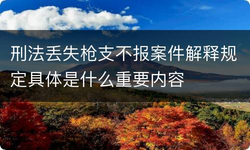 刑法丢失枪支不报案件解释规定具体是什么重要内容
