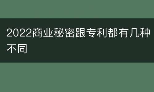 2022商业秘密跟专利都有几种不同