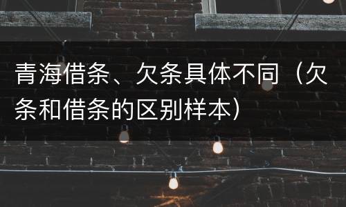 青海借条、欠条具体不同（欠条和借条的区别样本）