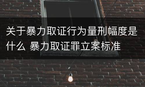 关于暴力取证行为量刑幅度是什么 暴力取证罪立案标准