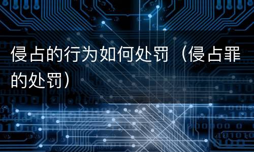 侵占的行为如何处罚（侵占罪的处罚）