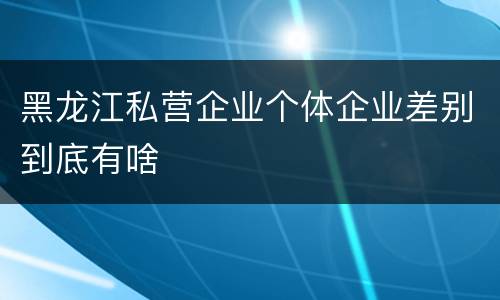 黑龙江私营企业个体企业差别到底有啥