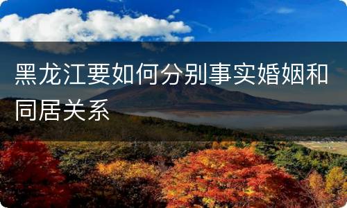 黑龙江要如何分别事实婚姻和同居关系