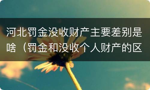 河北罚金没收财产主要差别是啥（罚金和没收个人财产的区别）