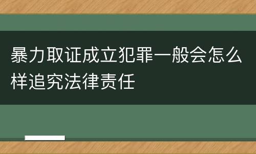 暴力取证成立犯罪一般会怎么样追究法律责任