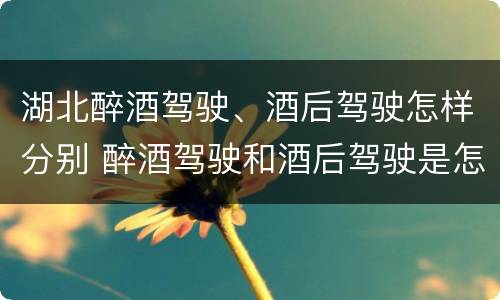 湖北醉酒驾驶、酒后驾驶怎样分别 醉酒驾驶和酒后驾驶是怎么区分的