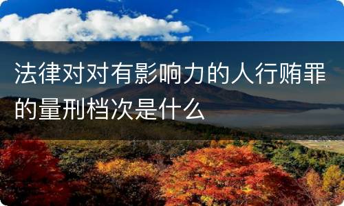 法律对对有影响力的人行贿罪的量刑档次是什么