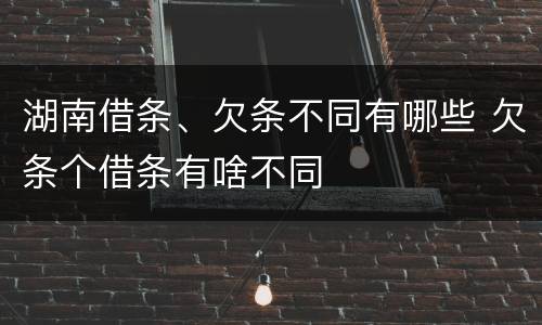 湖南借条、欠条不同有哪些 欠条个借条有啥不同