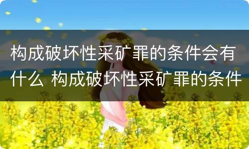构成破坏性采矿罪的条件会有什么 构成破坏性采矿罪的条件会有什么后果