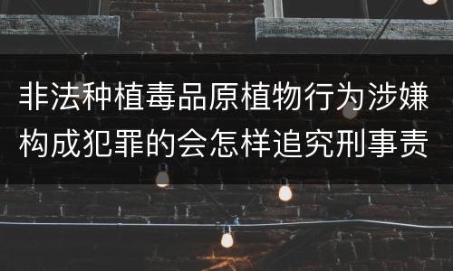 非法种植毒品原植物行为涉嫌构成犯罪的会怎样追究刑事责任