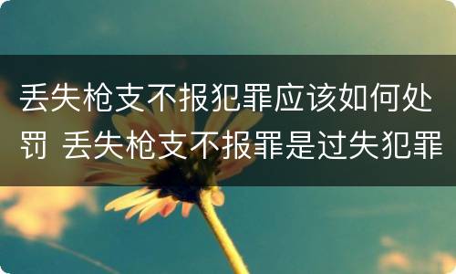 丢失枪支不报犯罪应该如何处罚 丢失枪支不报罪是过失犯罪吗