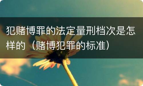 犯赌博罪的法定量刑档次是怎样的（赌博犯罪的标准）