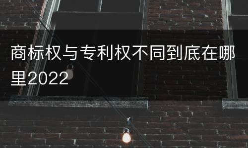 商标权与专利权不同到底在哪里2022