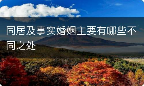 同居及事实婚姻主要有哪些不同之处