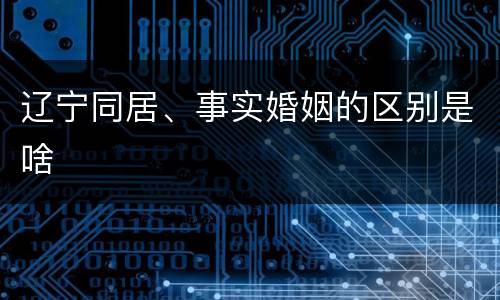 辽宁同居、事实婚姻的区别是啥
