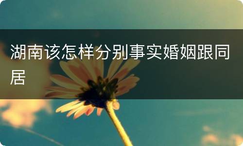 湖南该怎样分别事实婚姻跟同居