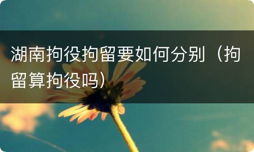 湖南拘役拘留要如何分别（拘留算拘役吗）