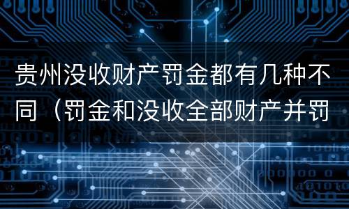 贵州没收财产罚金都有几种不同（罚金和没收全部财产并罚）