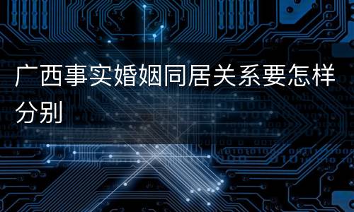 广西事实婚姻同居关系要怎样分别