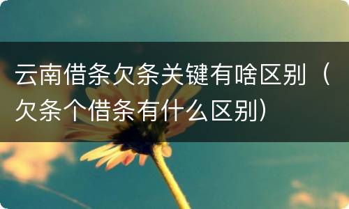 云南借条欠条关键有啥区别（欠条个借条有什么区别）