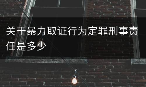 关于暴力取证行为定罪刑事责任是多少