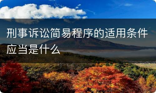 刑事诉讼简易程序的适用条件应当是什么