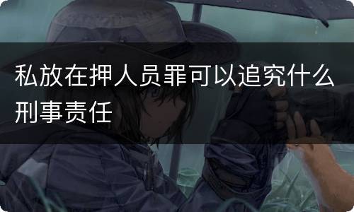 私放在押人员罪可以追究什么刑事责任