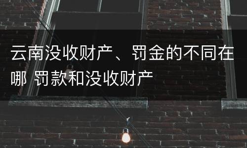 云南没收财产、罚金的不同在哪 罚款和没收财产